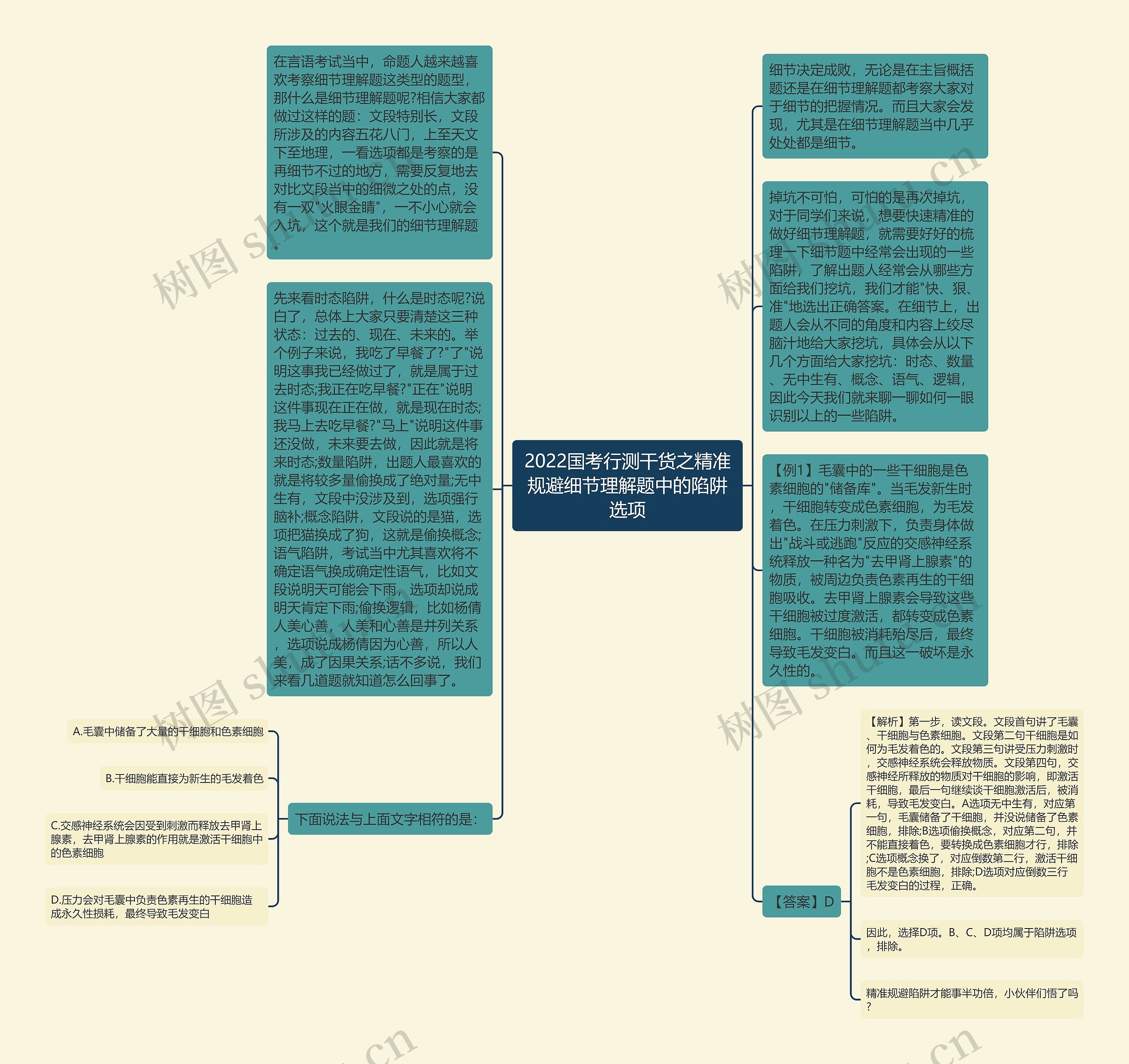 2022国考行测干货之精准规避细节理解题中的陷阱选项思维导图
