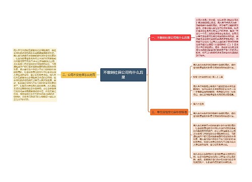 不缴纳社保公司有什么后果