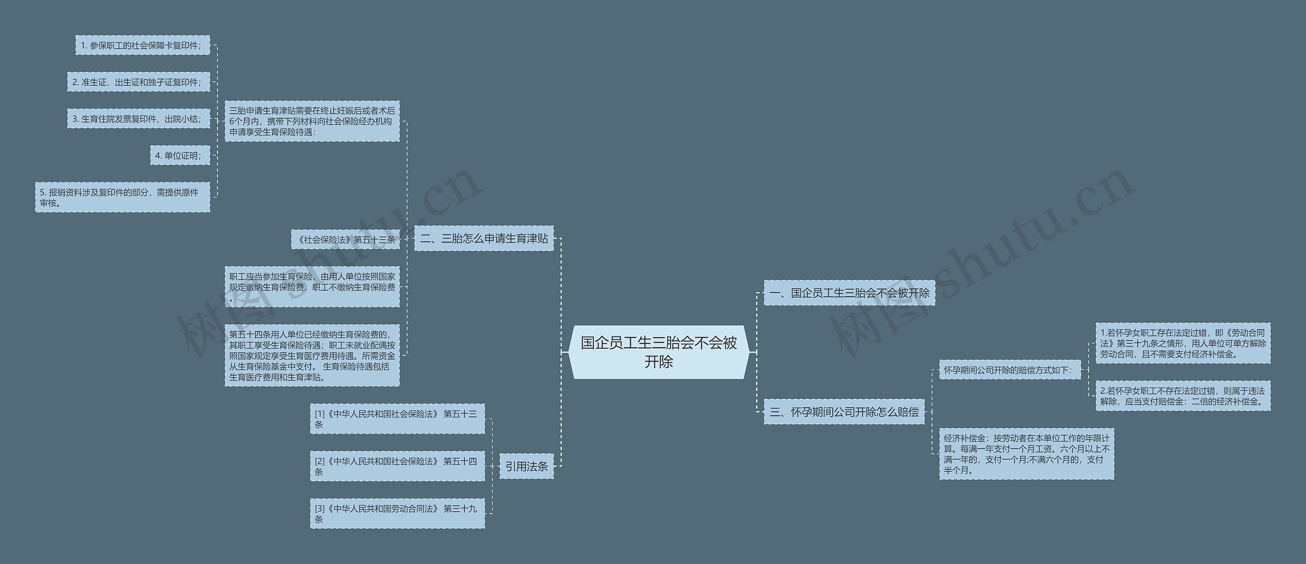 国企员工生三胎会不会被开除思维导图