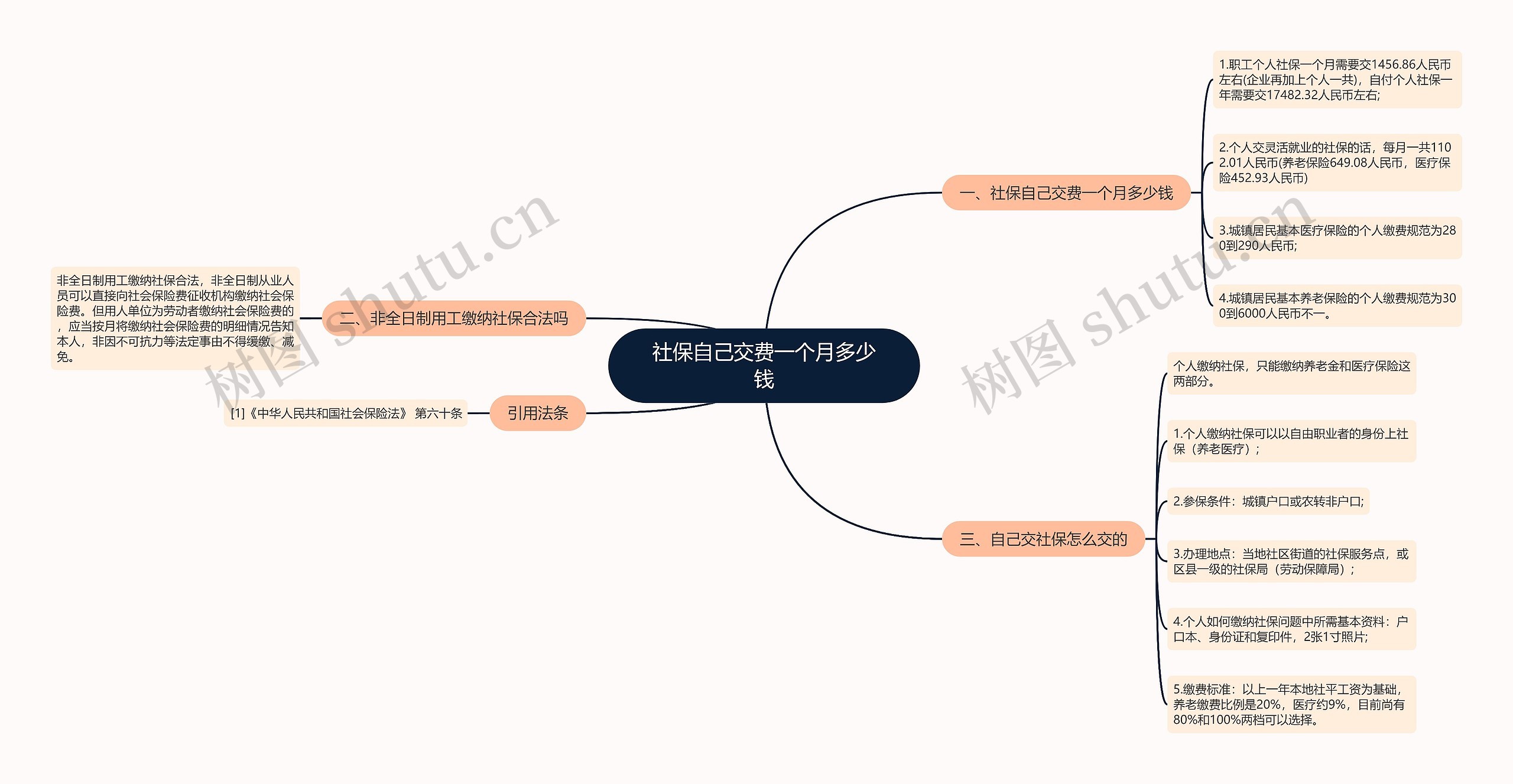 社保自己交费一个月多少钱