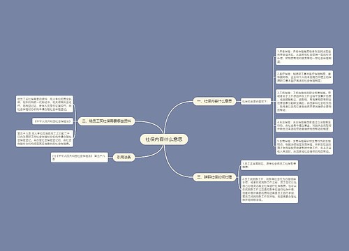 社保内容什么意思