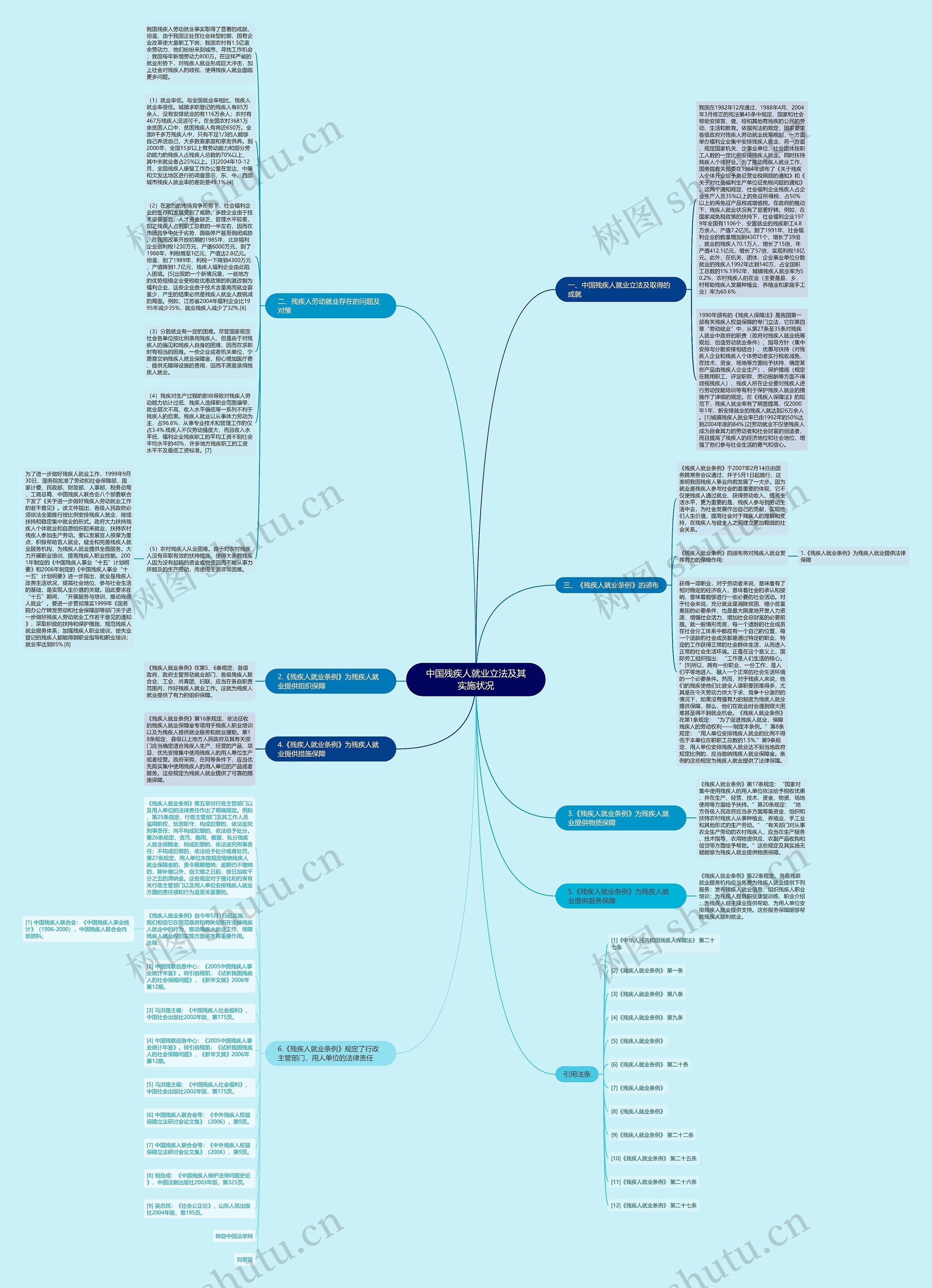 中国残疾人就业立法及其实施状况思维导图