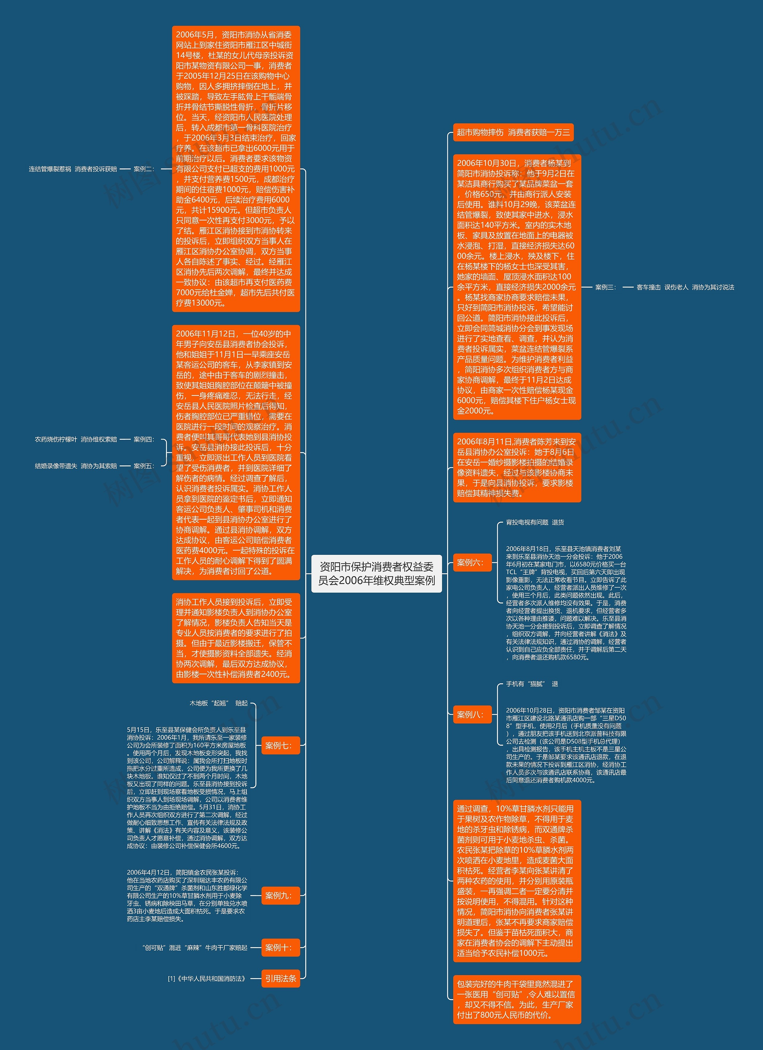 资阳市保护消费者权益委员会2006年维权典型案例思维导图