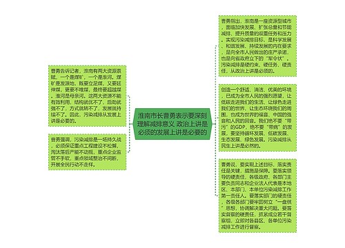 淮南市长曹勇表示要深刻理解减排意义 政治上讲是必须的发展上讲是必要的
