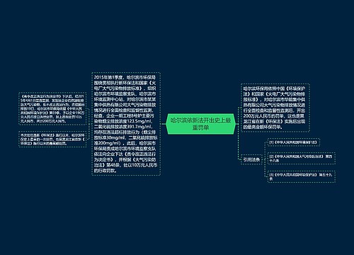 哈尔滨依新法开出史上最重罚单