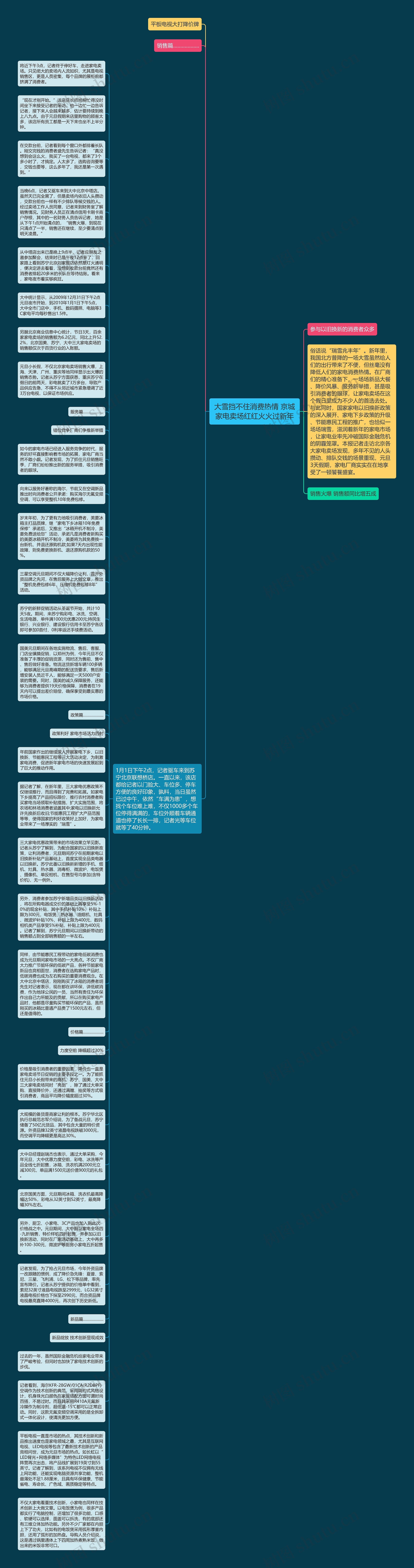 大雪挡不住消费热情 京城家电卖场红红火火过新年思维导图