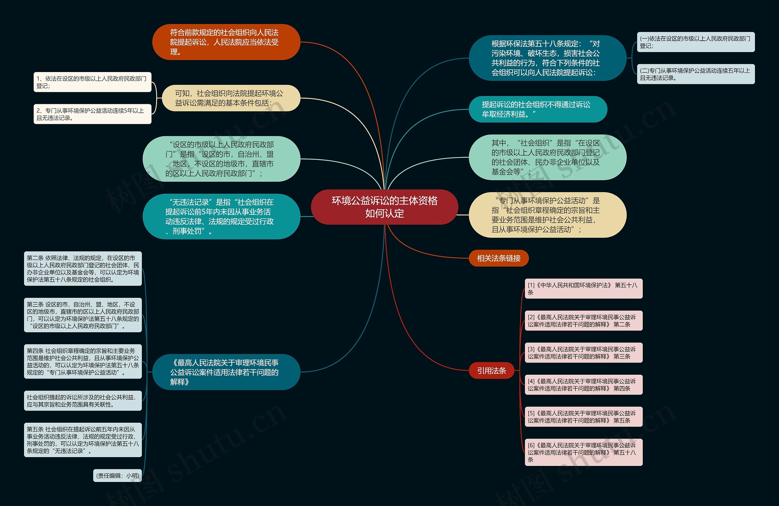 环境公益诉讼的主体资格如何认定思维导图