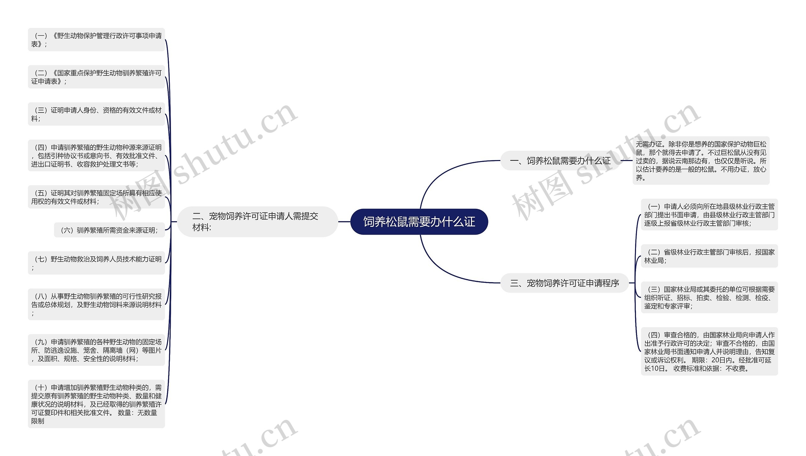 饲养松鼠需要办什么证