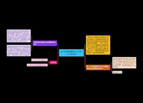 坐飞机违规携带打火机处以行政处罚