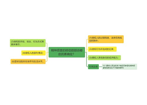 精神损害的赔偿数额由哪些因素确定？