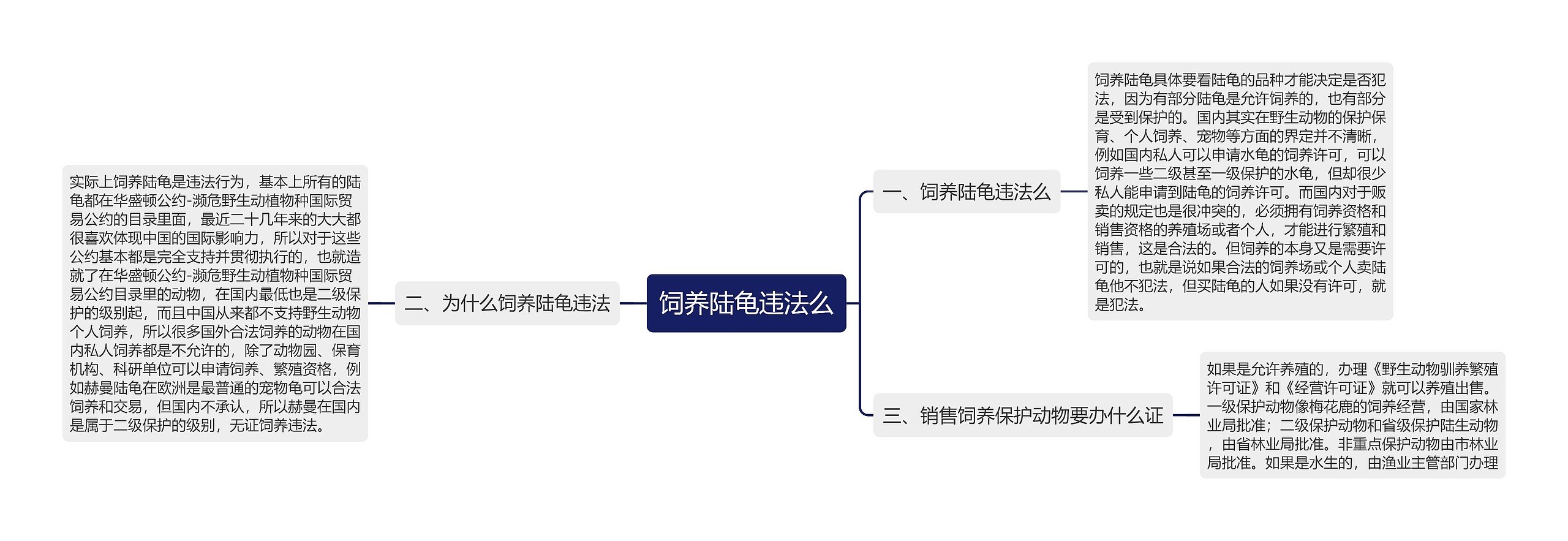 饲养陆龟违法么