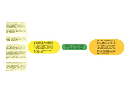 温家宝：经济形势仍然复杂严峻 须保持清醒头脑