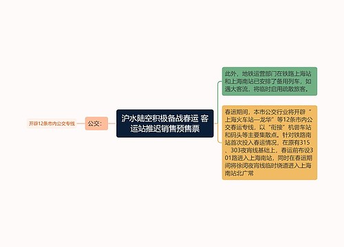 沪水陆空积极备战春运 客运站推迟销售预售票