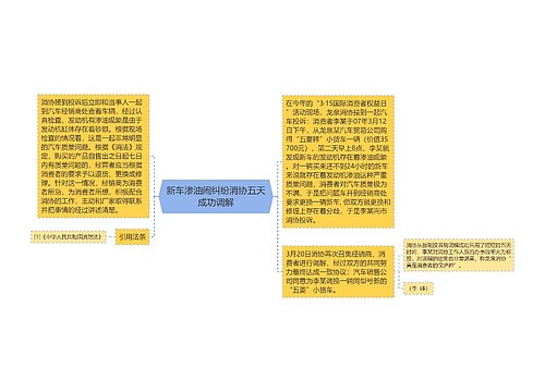 新车渗油闹纠纷消协五天成功调解