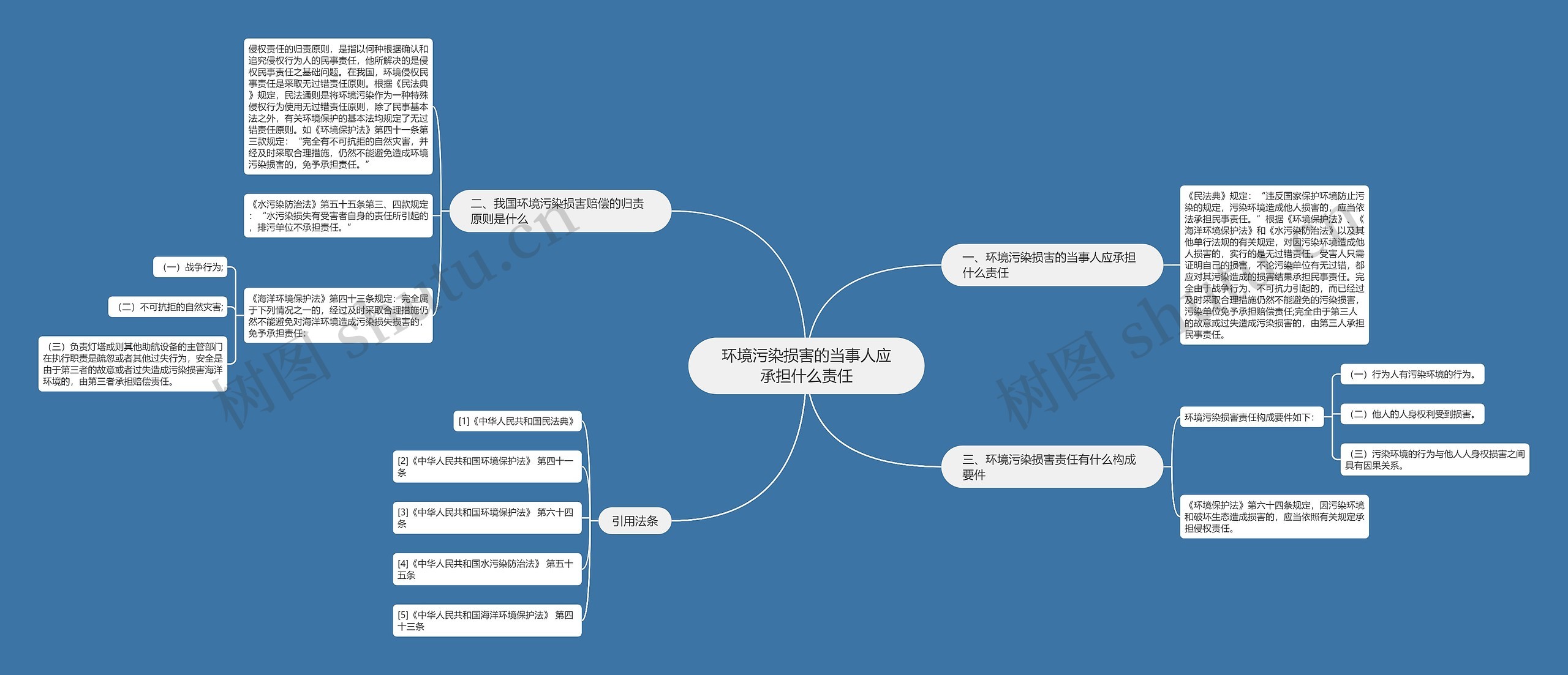 环境污染损害的当事人应承担什么责任思维导图
