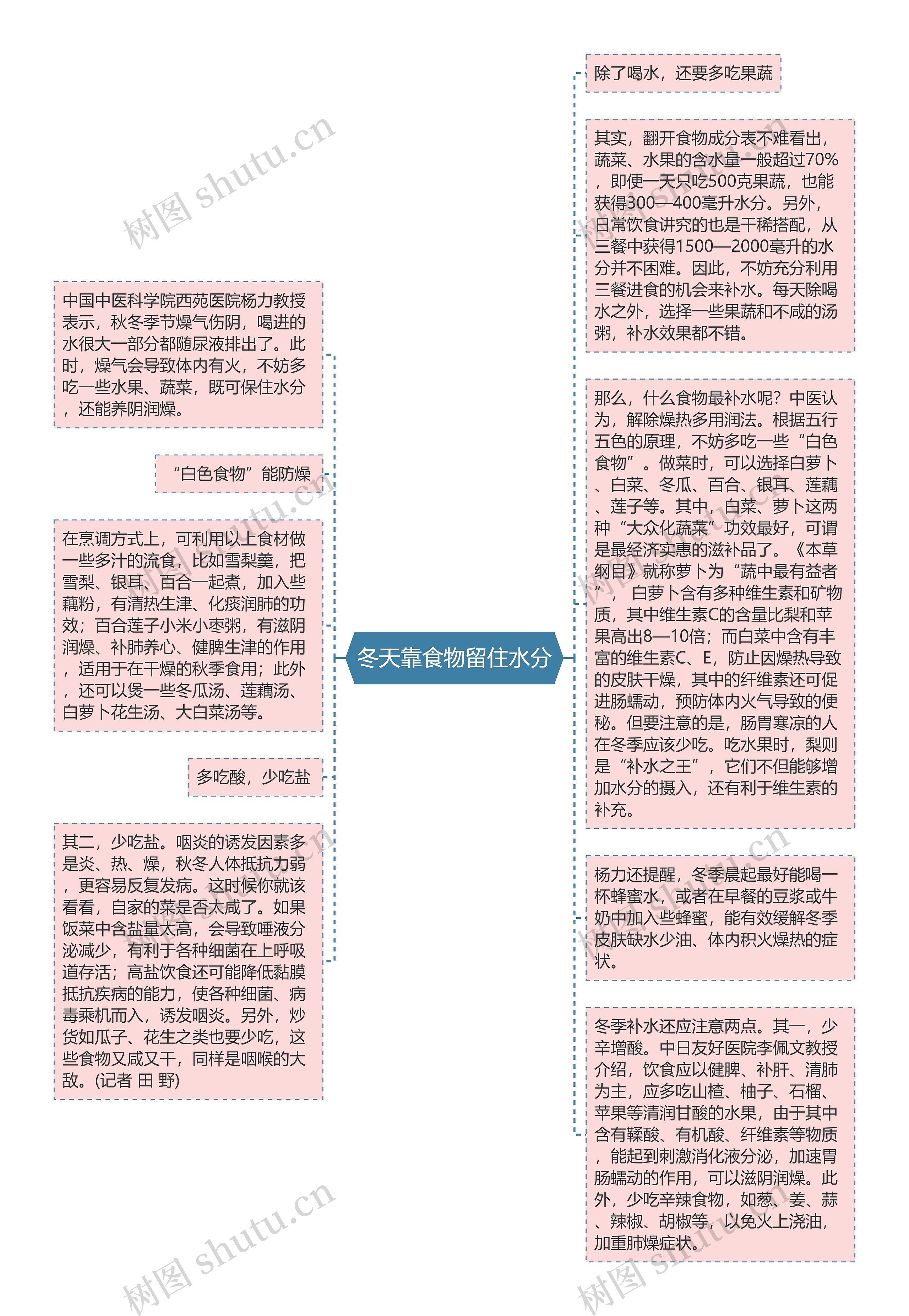 冬天靠食物留住水分思维导图