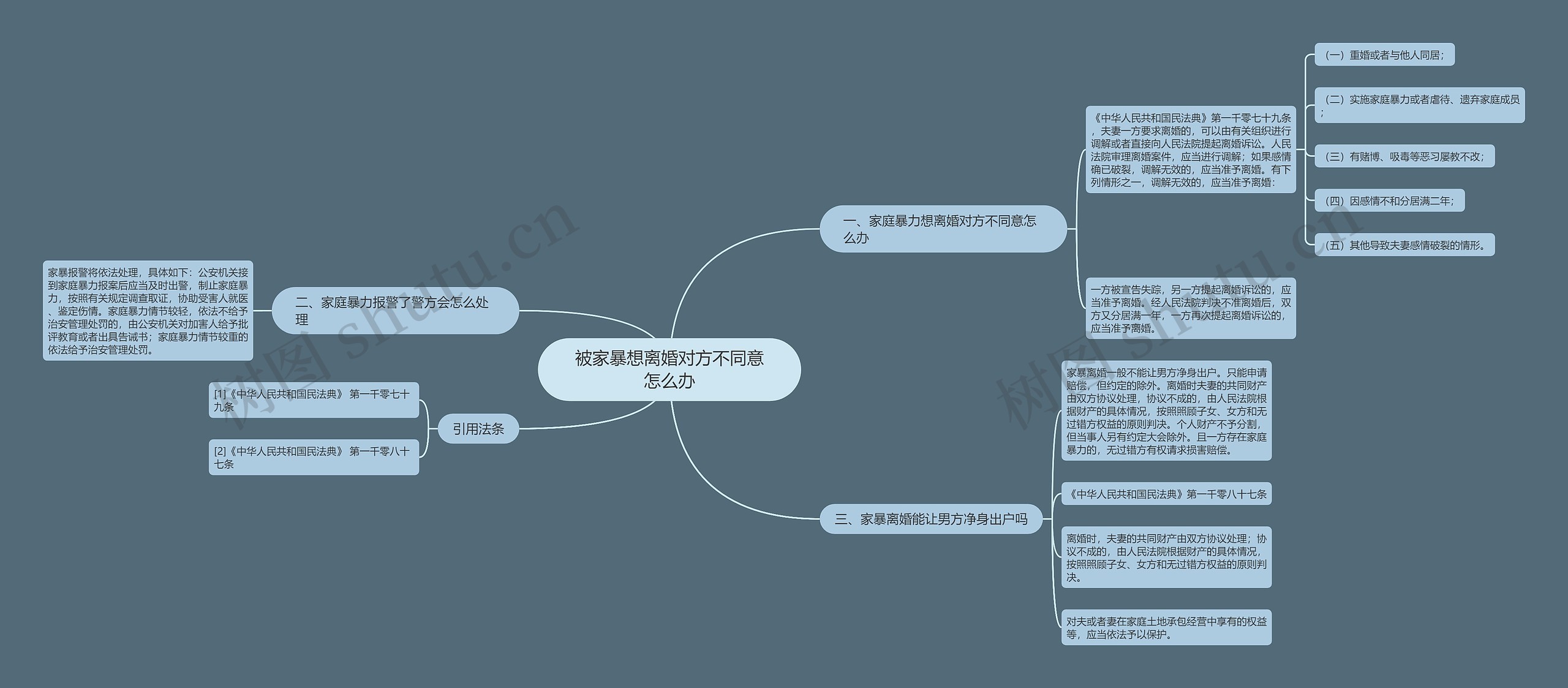 被家暴想离婚对方不同意怎么办思维导图