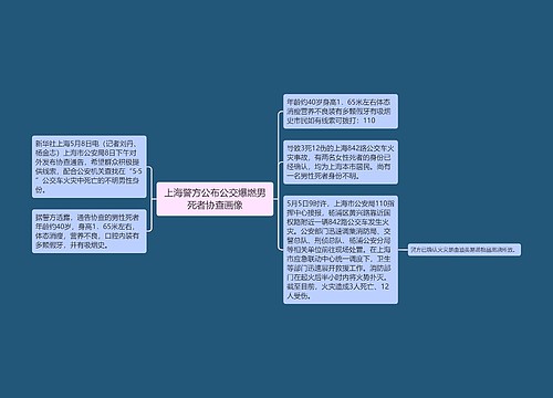 上海警方公布公交爆燃男死者协查画像