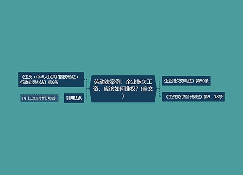 劳动法案例：企业拖欠工资，应该如何维权？(全文)