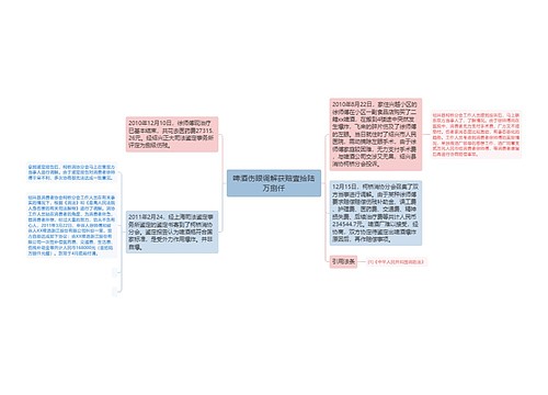 啤酒伤眼调解获赔壹拾陆万捌仟