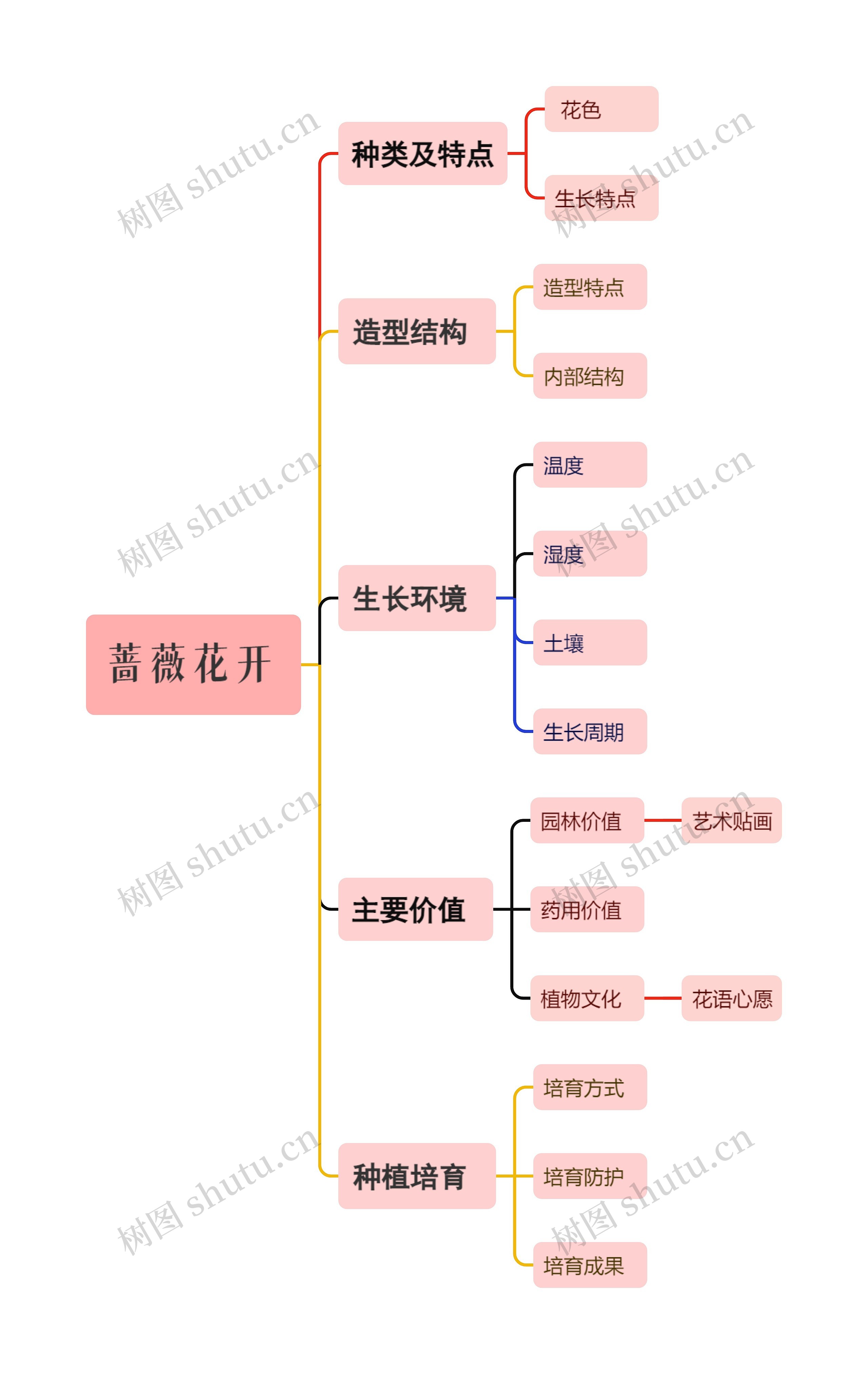 蔷薇花开思维导图