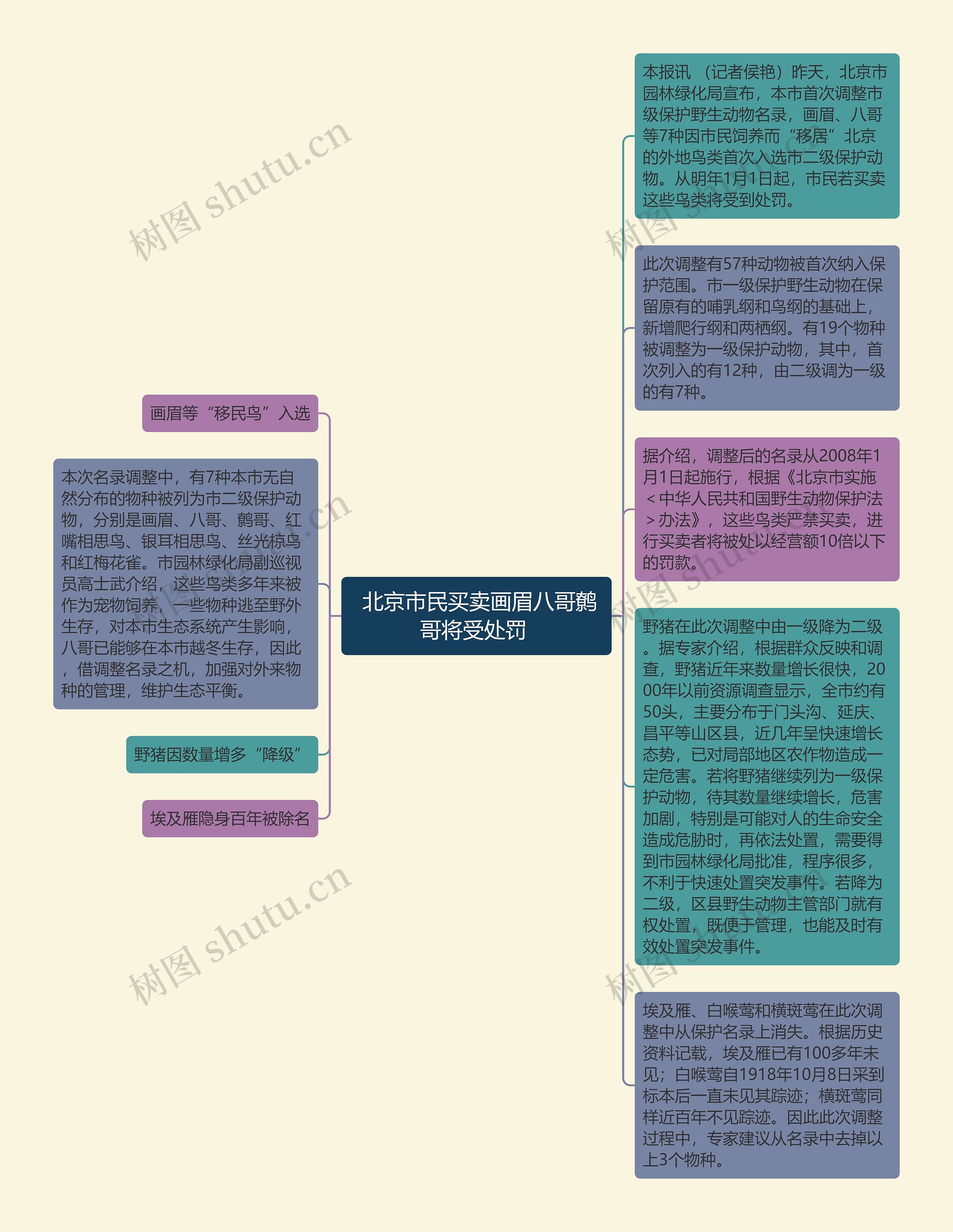  北京市民买卖画眉八哥鹩哥将受处罚 