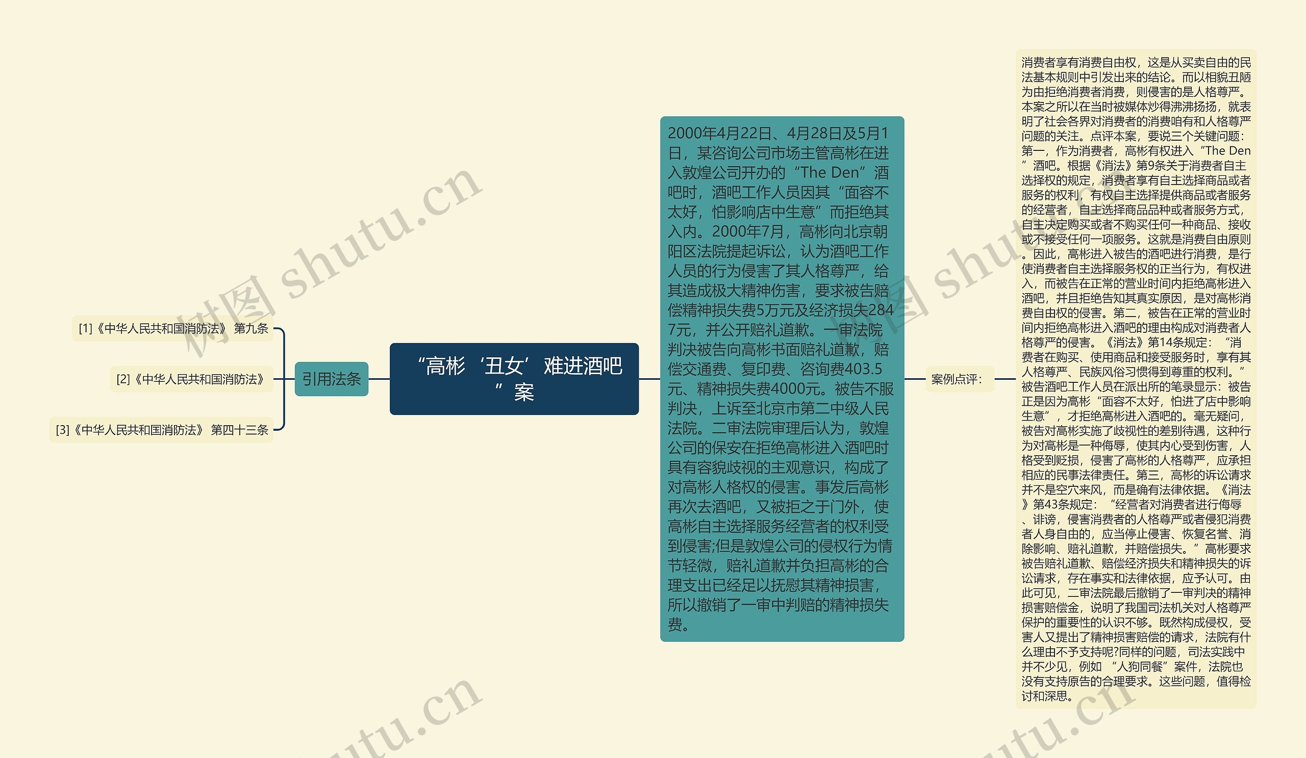 “高彬‘丑女’难进酒吧”案思维导图