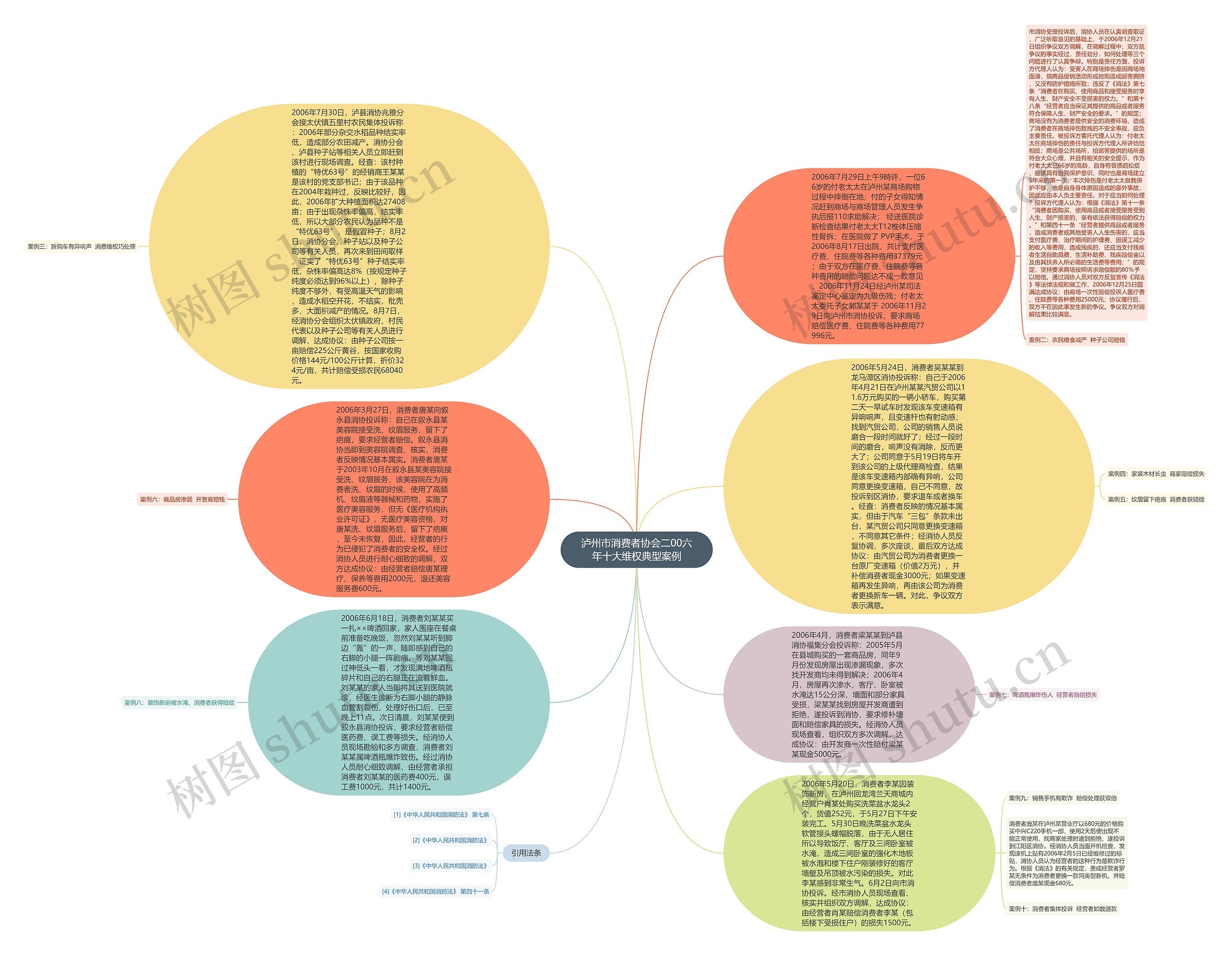 泸州市消费者协会二00六年十大维权典型案例思维导图