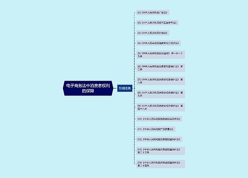 电子商务法中消费者权利的保障