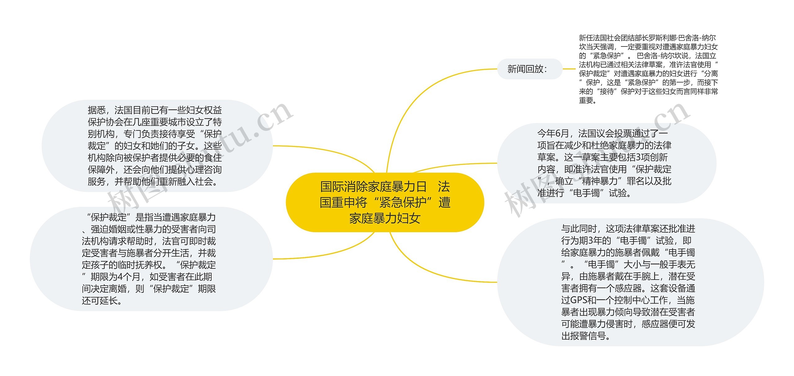 国际消除家庭暴力日   法国重申将“紧急保护”遭家庭暴力妇女思维导图