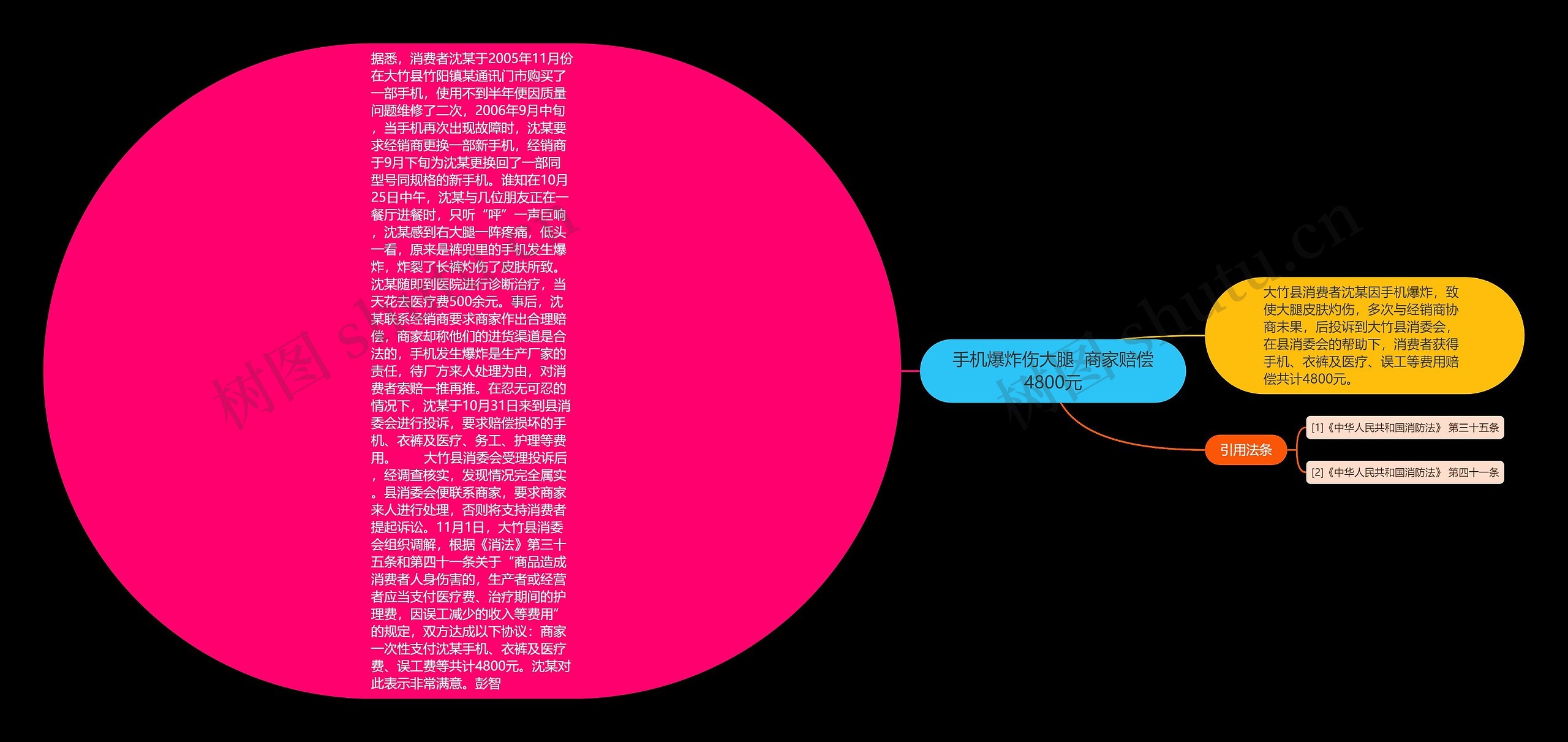 手机爆炸伤大腿  商家赔偿4800元思维导图