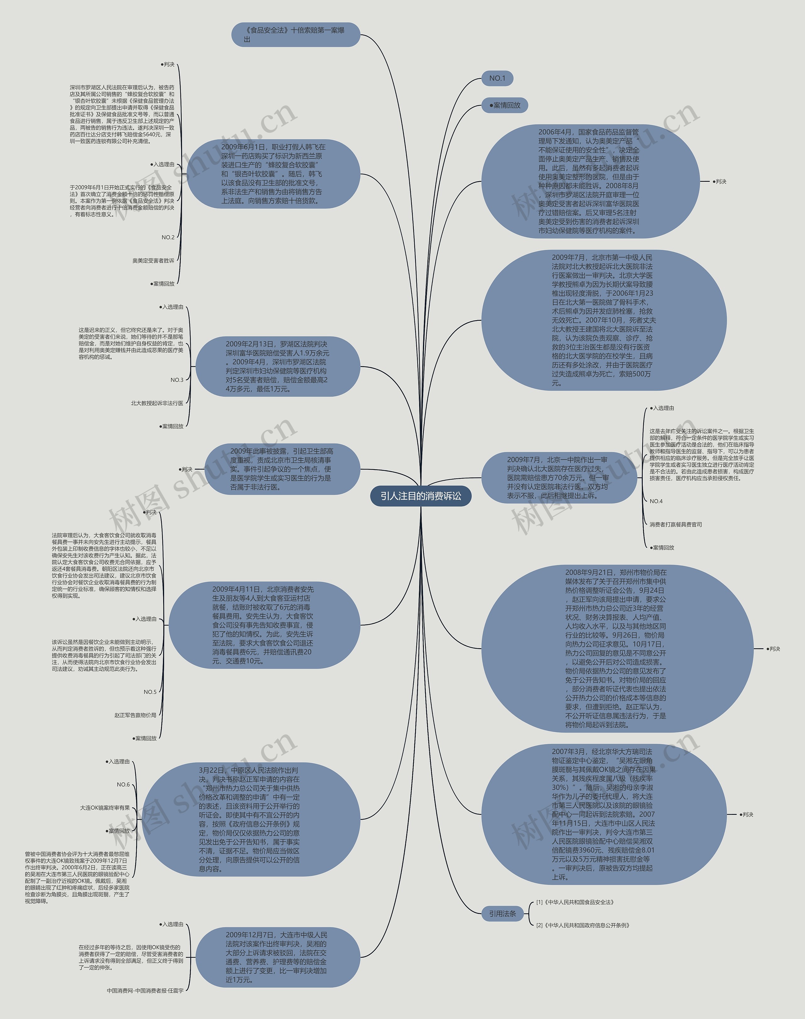 引人注目的消费诉讼思维导图