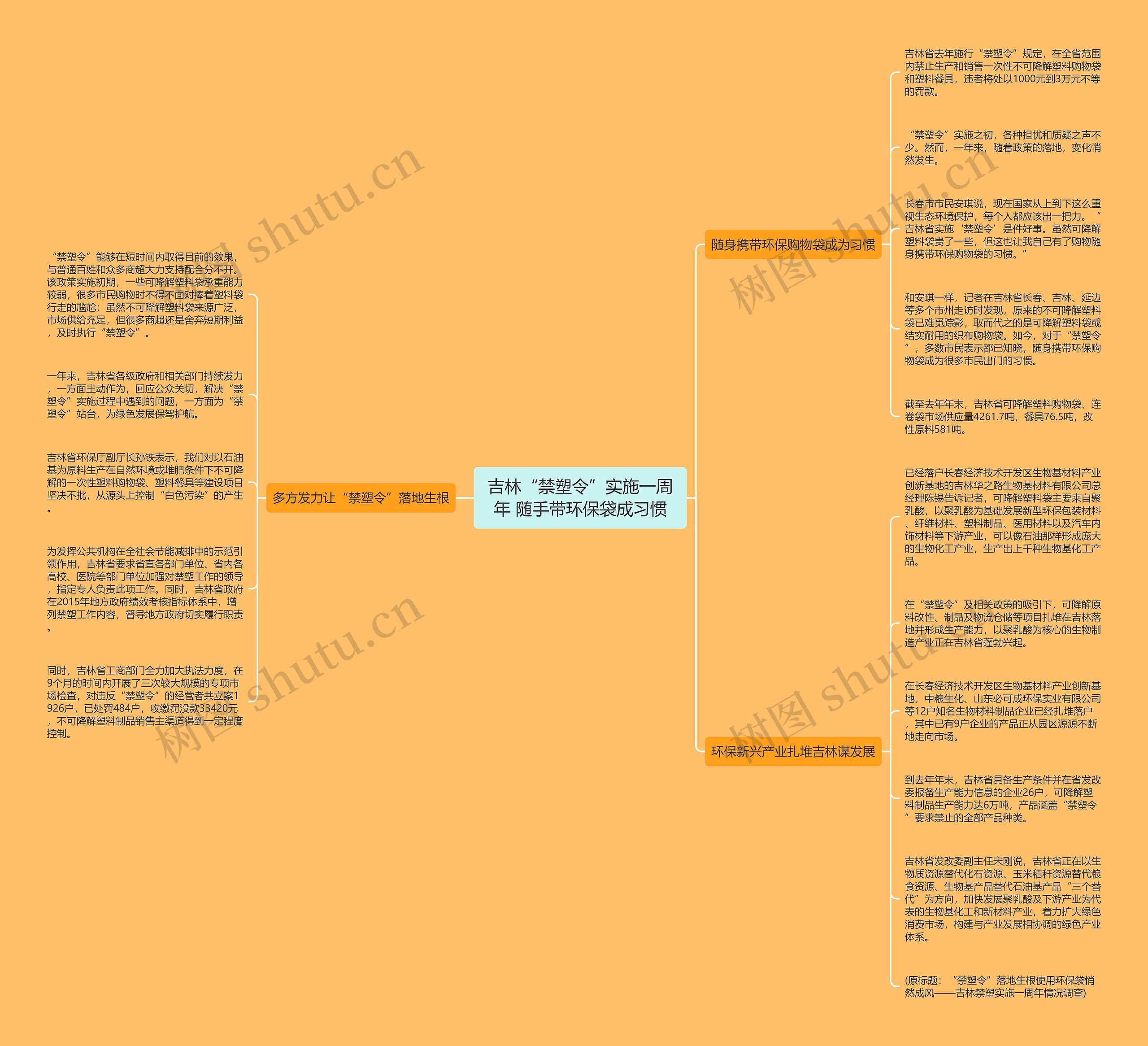 吉林“禁塑令”实施一周年 随手带环保袋成习惯思维导图