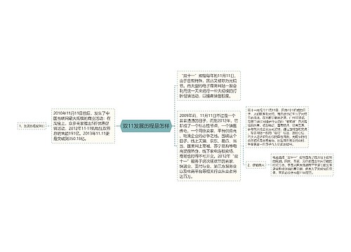 双11发展历程是怎样