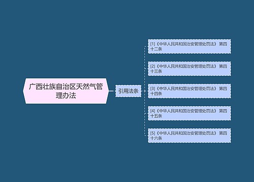 广西壮族自治区天然气管理办法 广西壮族自治区天然气管理办法