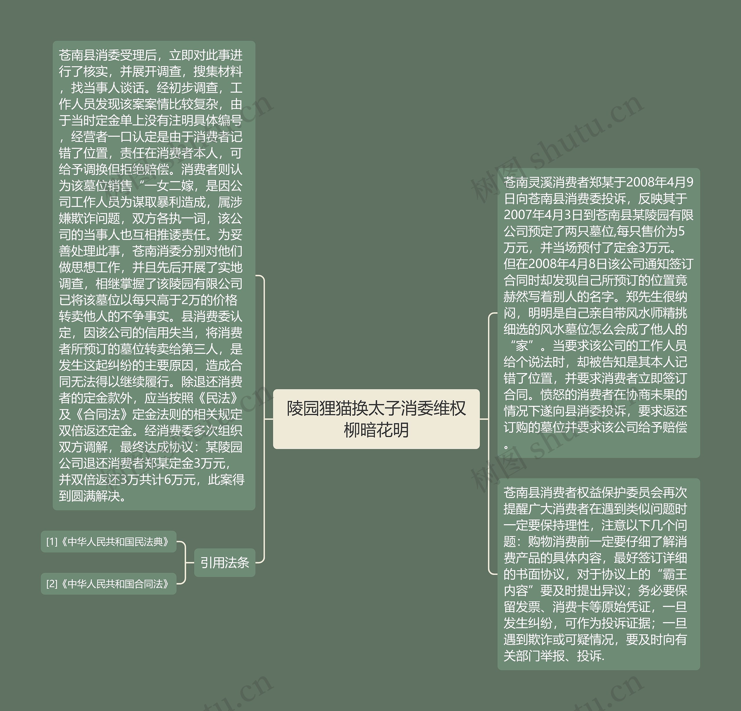 陵园狸猫换太子消委维权柳暗花明思维导图