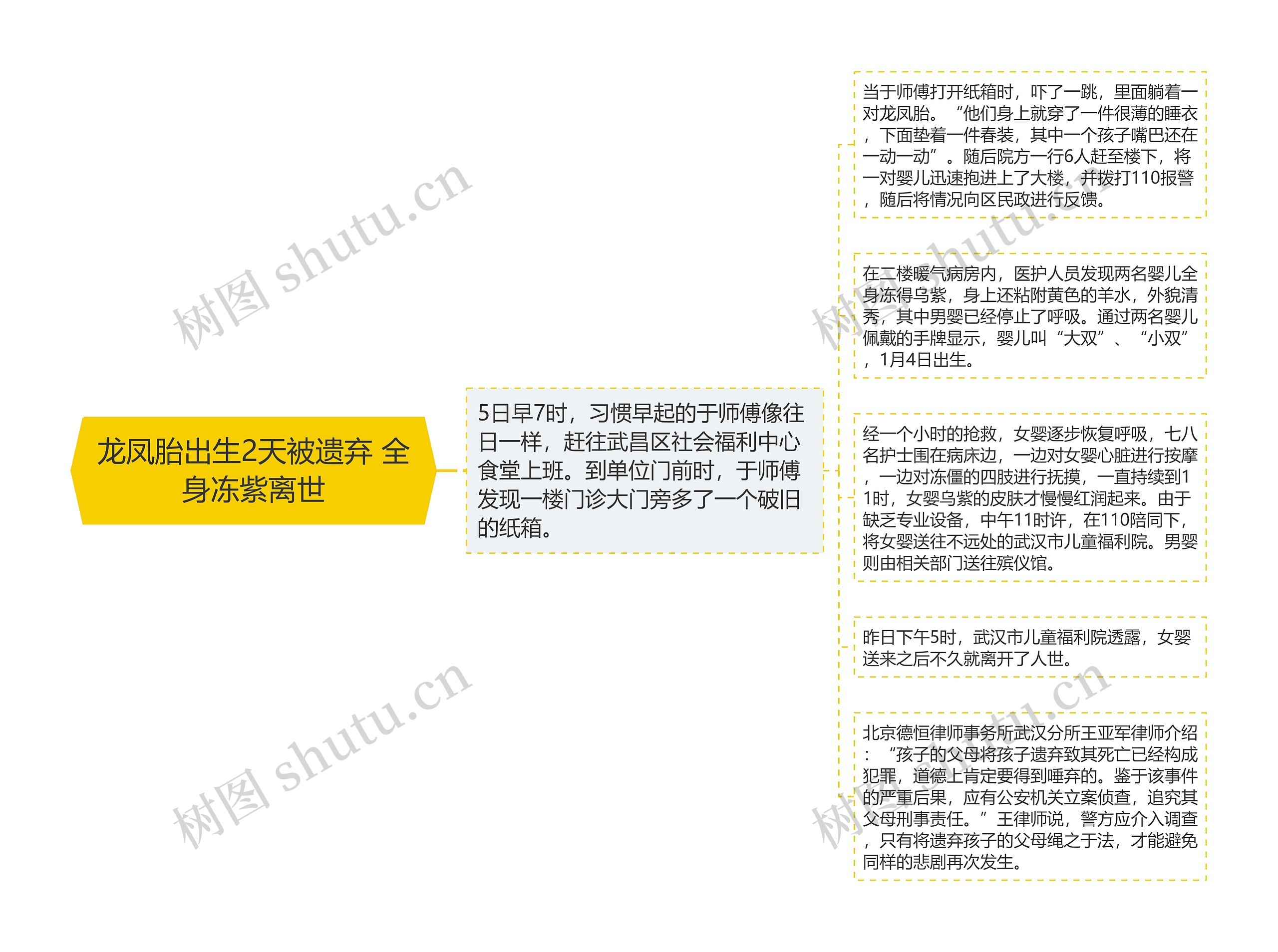 龙凤胎出生2天被遗弃 全身冻紫离世思维导图