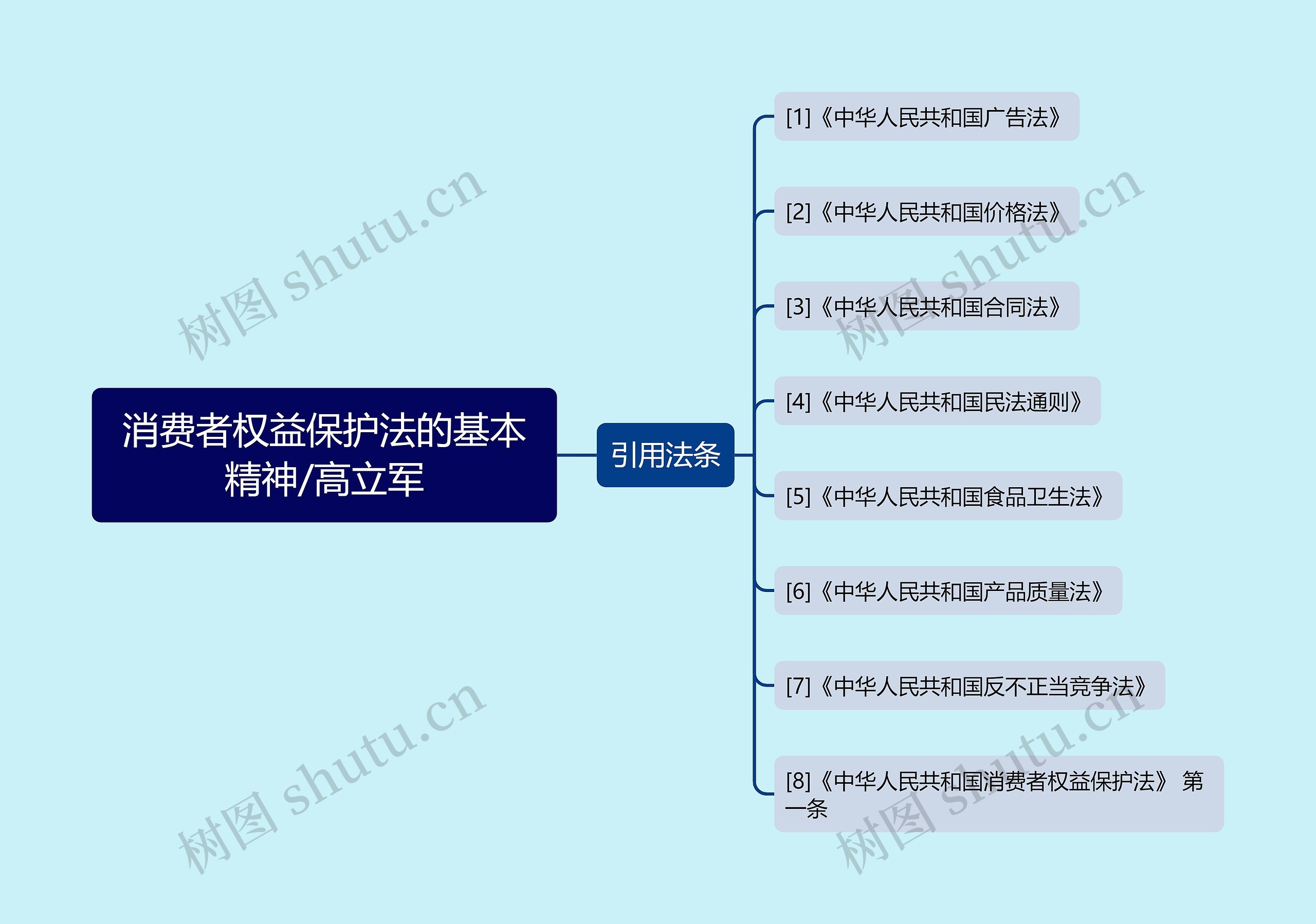 消费者权益保护法的基本精神/高立军