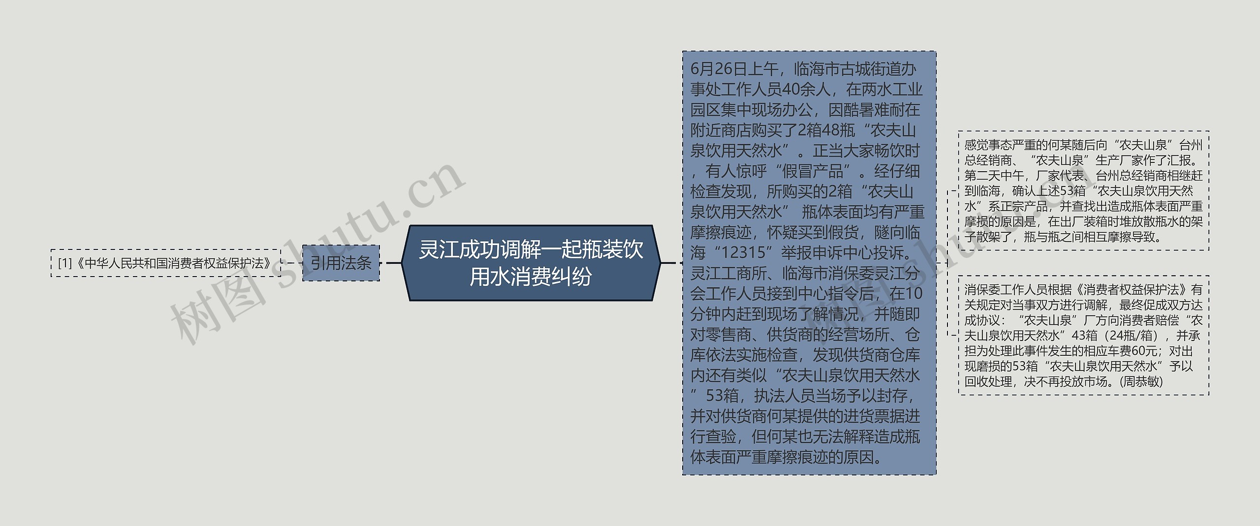 灵江成功调解一起瓶装饮用水消费纠纷思维导图