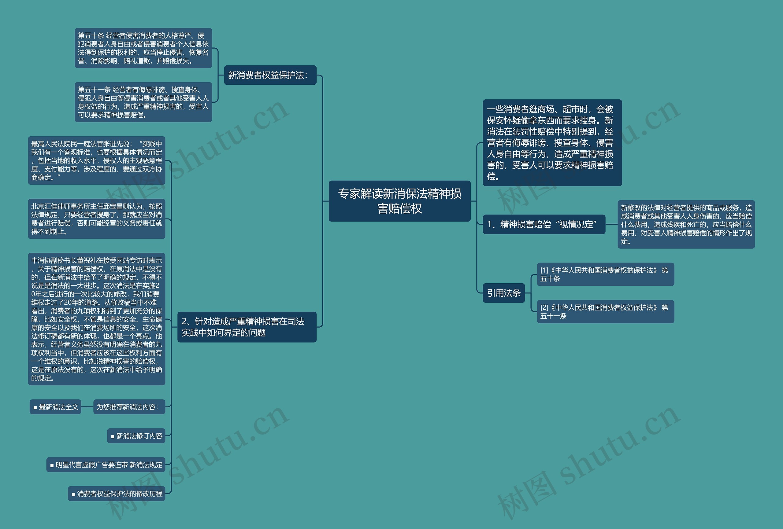 专家解读新消保法精神损害赔偿权