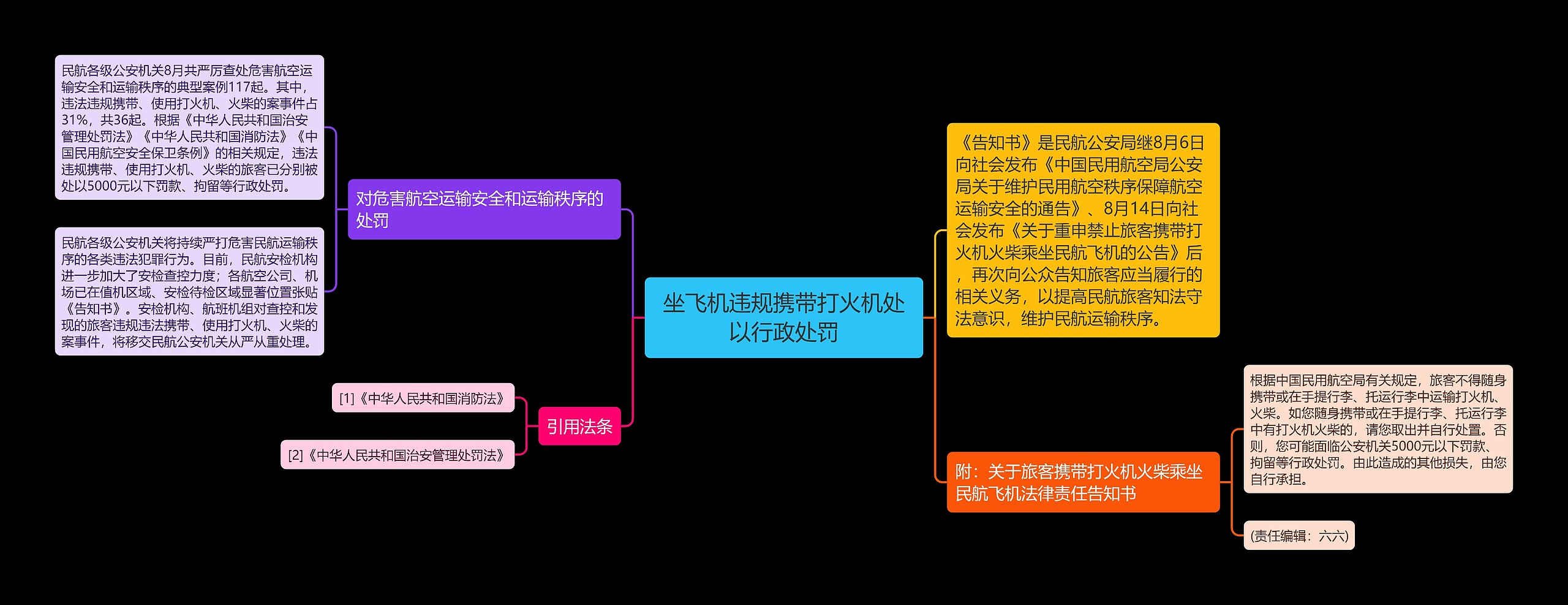 坐飞机违规携带打火机处以行政处罚