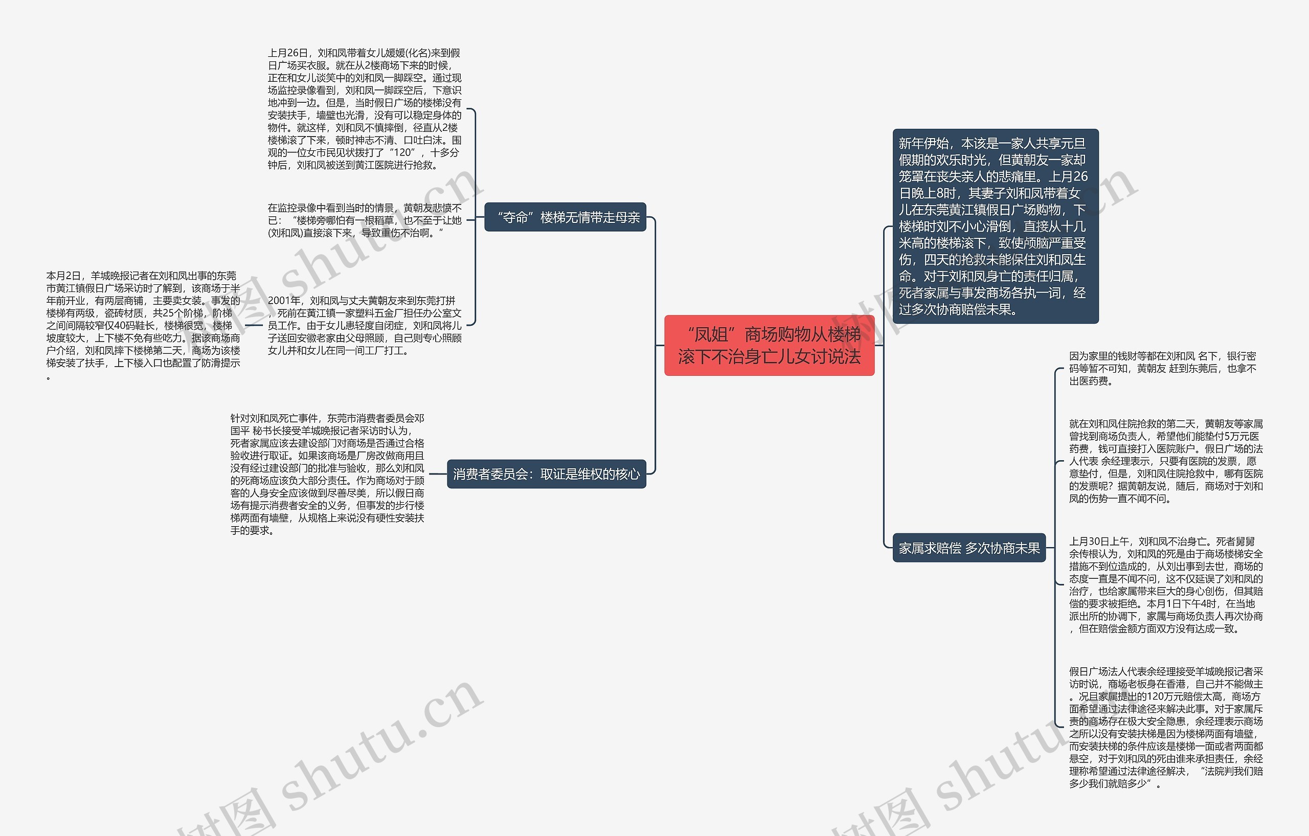 “凤姐”商场购物从楼梯滚下不治身亡儿女讨说法思维导图