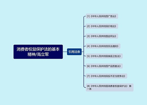 消费者权益保护法的基本精神/高立军