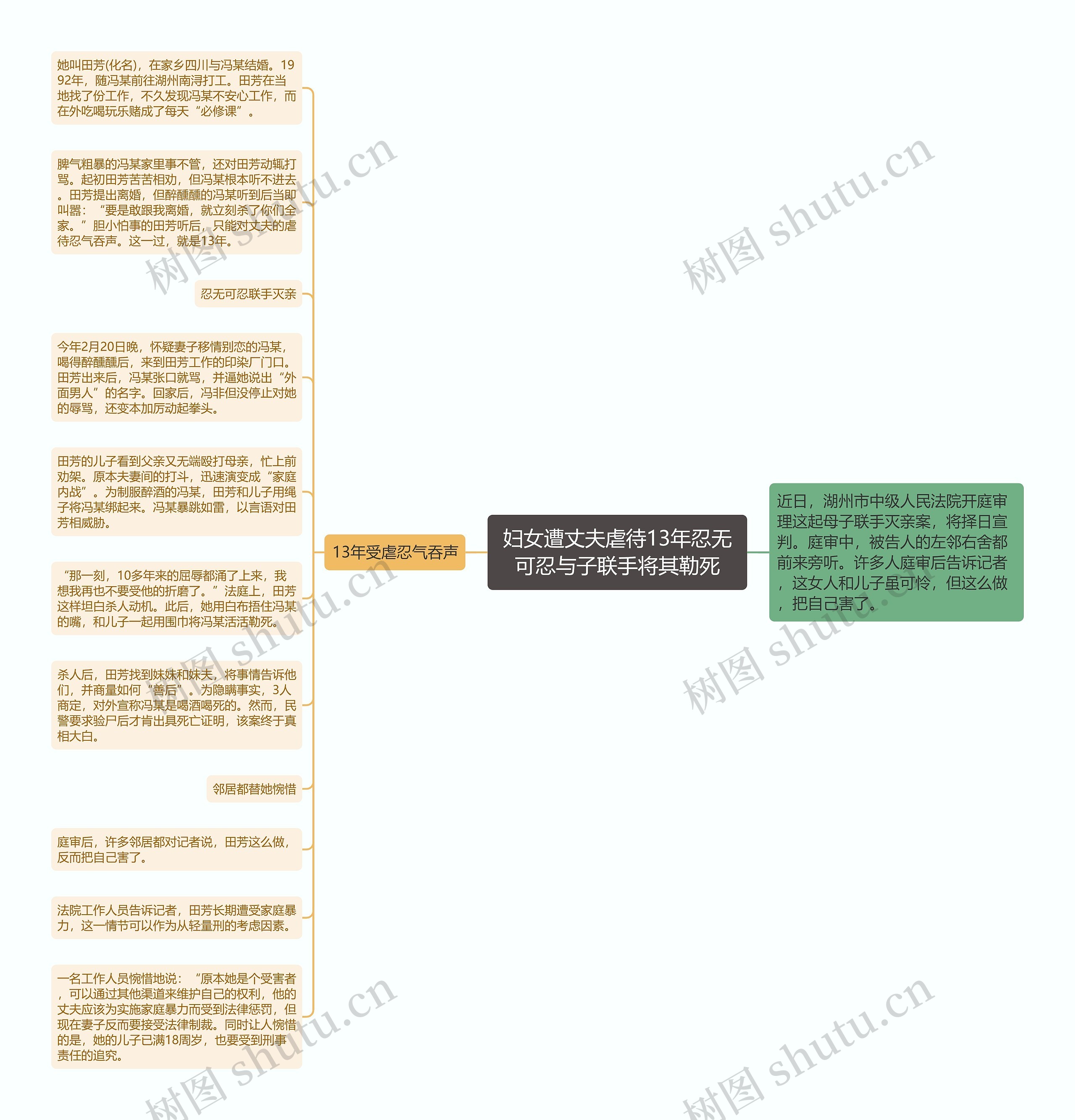 妇女遭丈夫虐待13年忍无可忍与子联手将其勒死