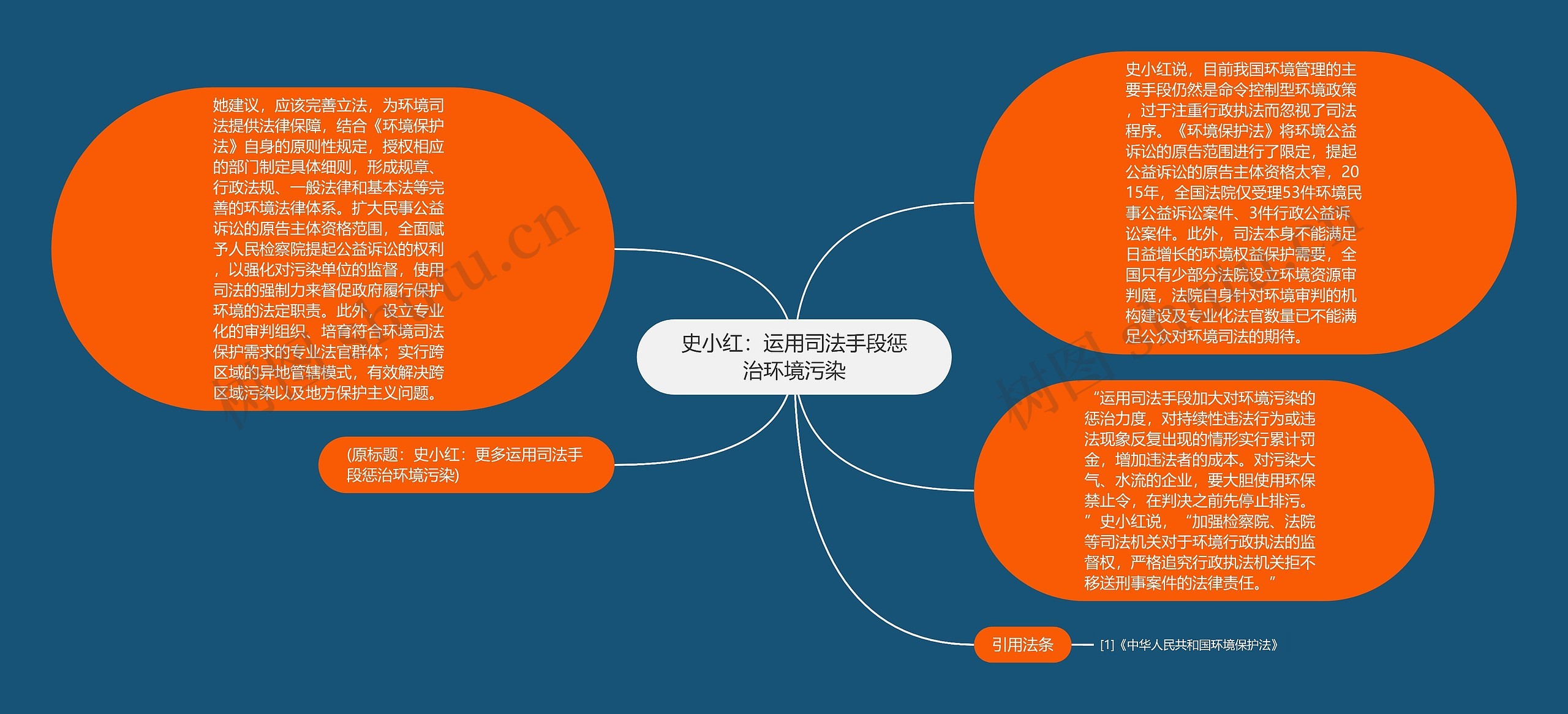 史小红：运用司法手段惩治环境污染思维导图