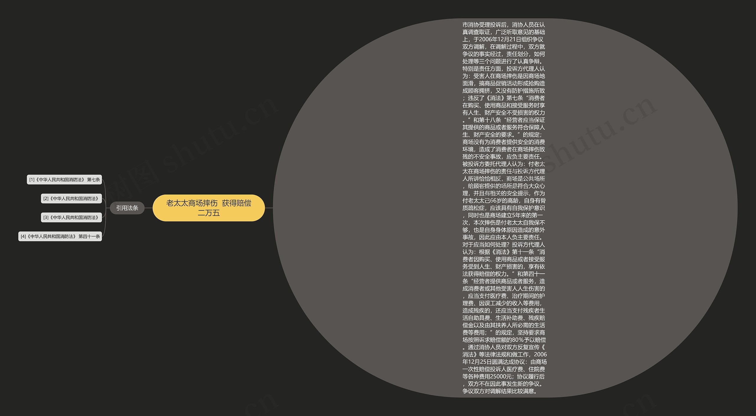 老太太商场摔伤  获得赔偿二万五思维导图