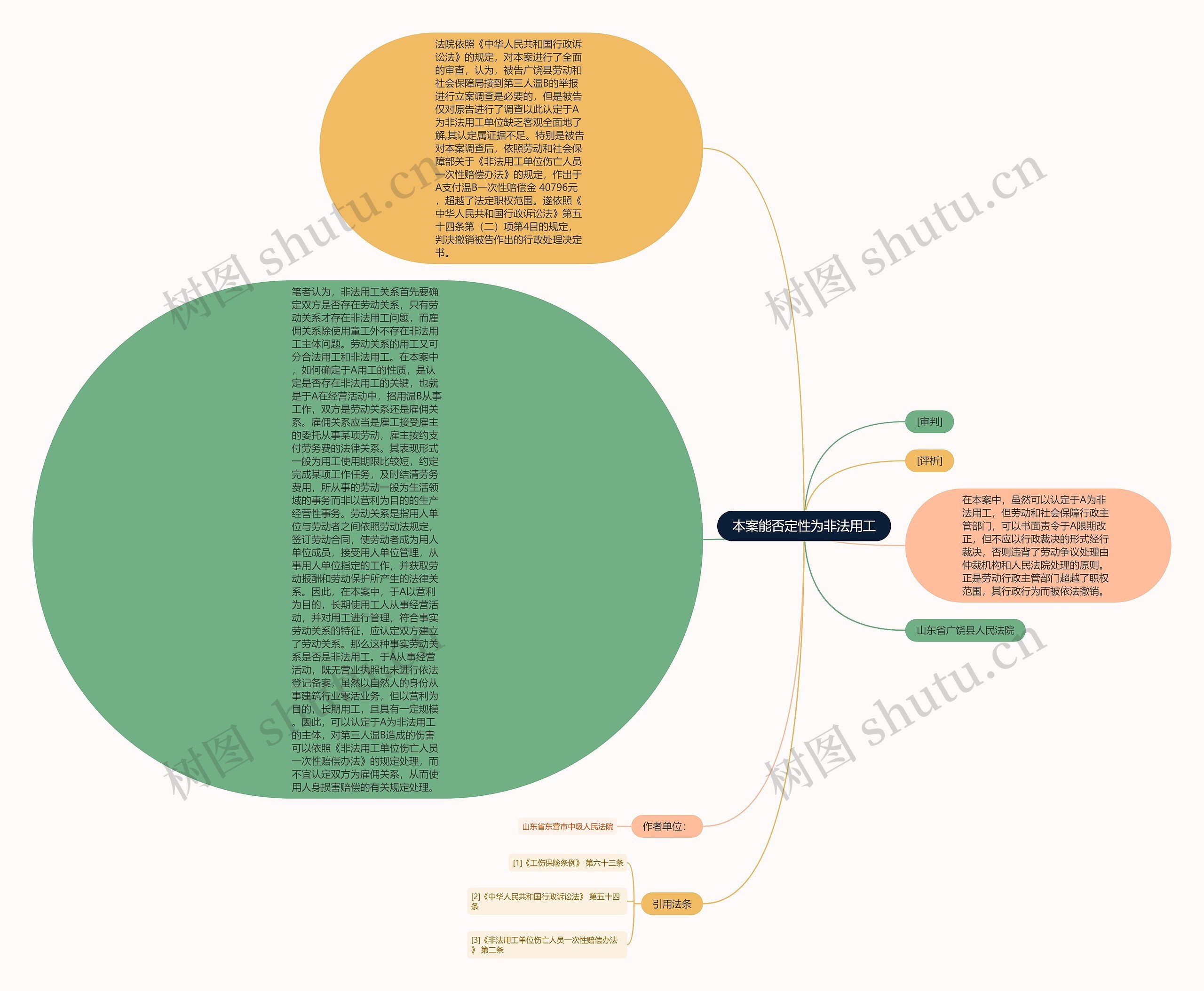 本案能否定性为非法用工思维导图