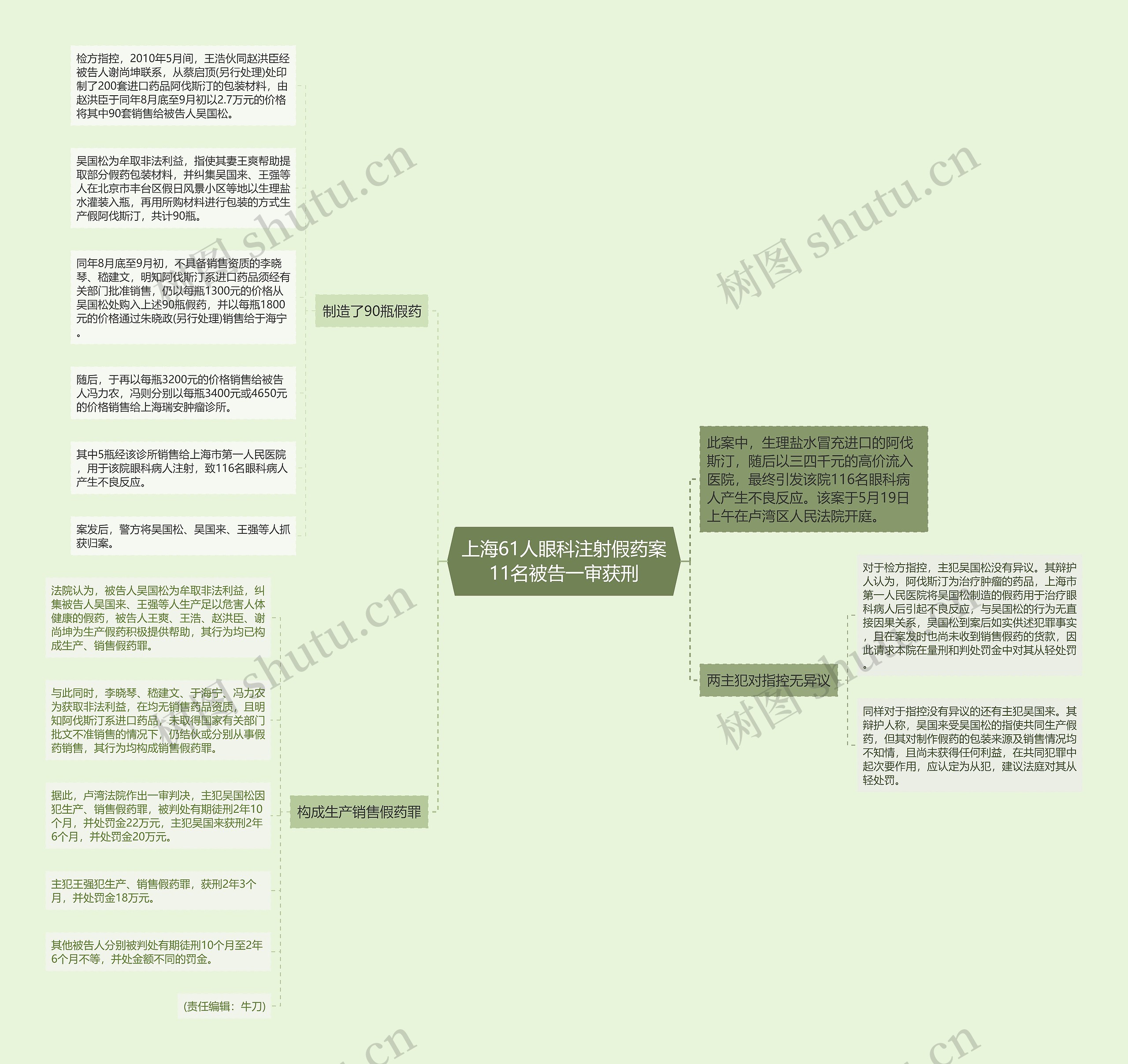 上海61人眼科注射假药案11名被告一审获刑思维导图