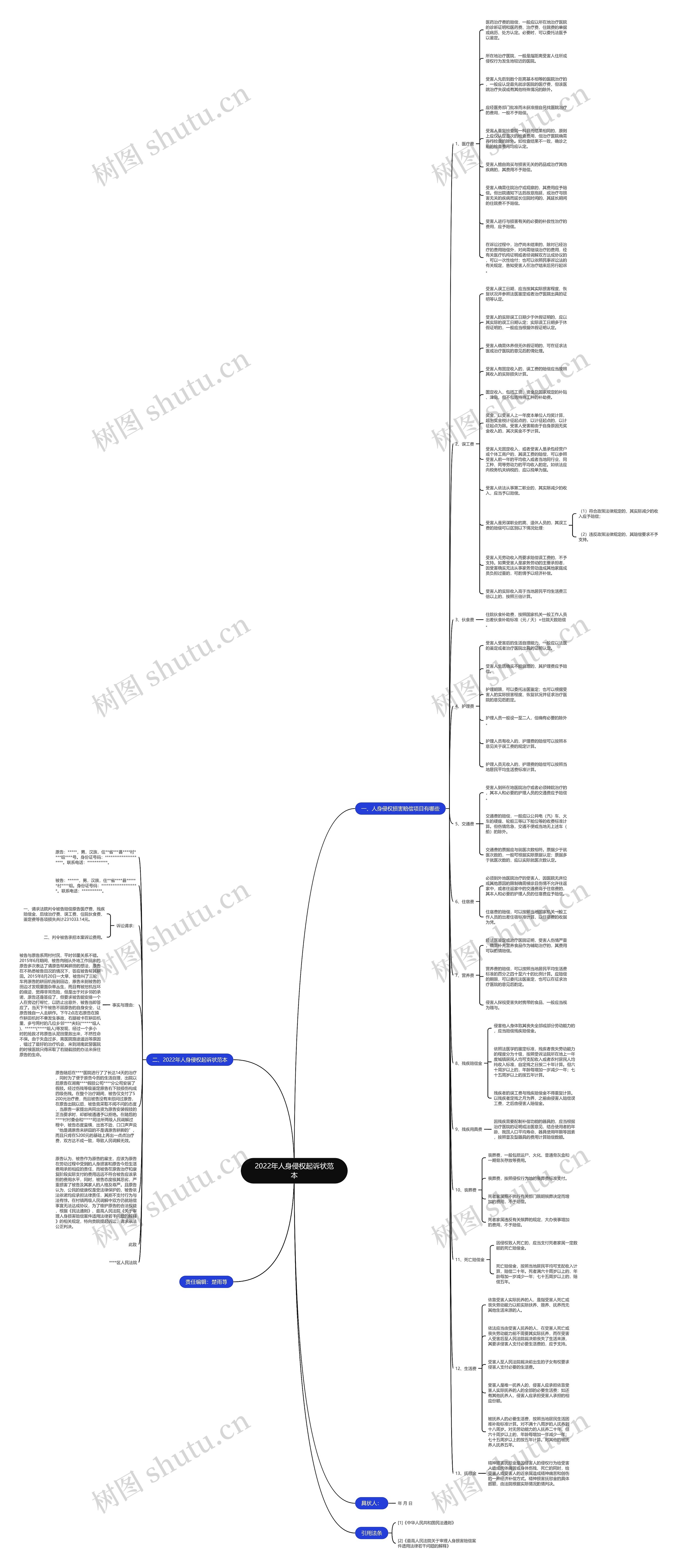2022年人身侵权起诉状范本思维导图