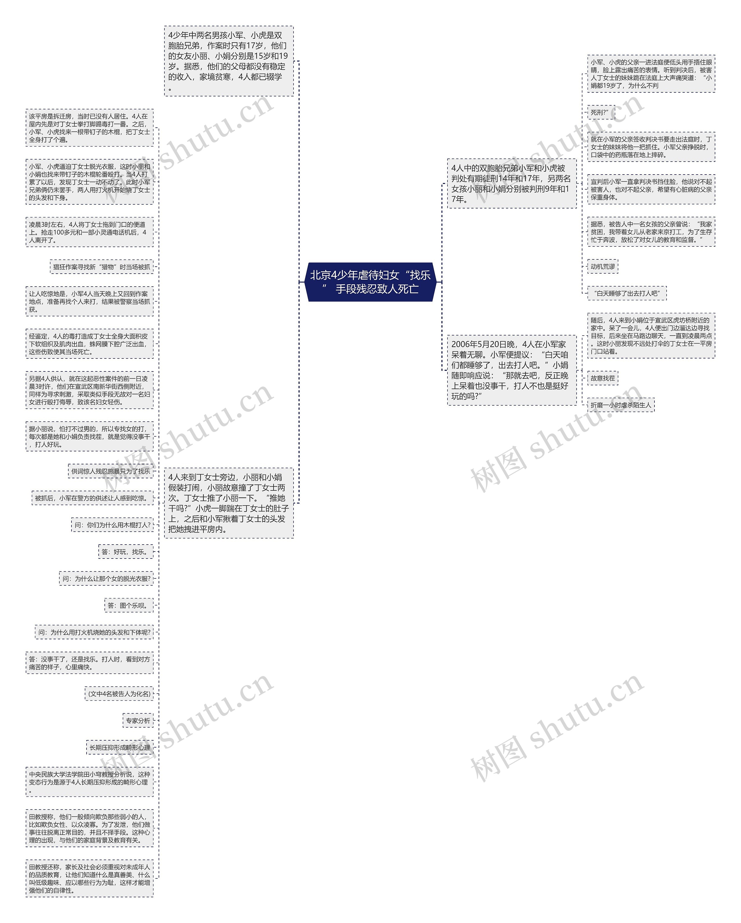 北京4少年虐待妇女“找乐” 手段残忍致人死亡思维导图